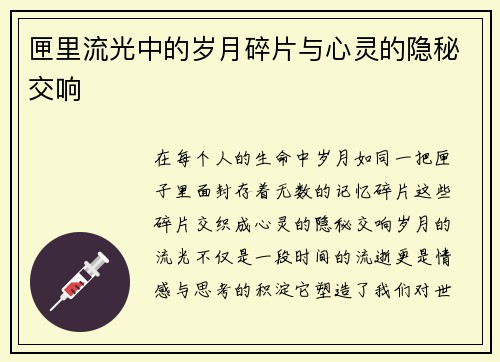 匣里流光中的岁月碎片与心灵的隐秘交响